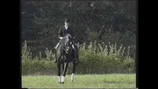 Video di Feiner Stern