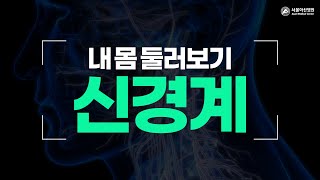 신경계 미리보기