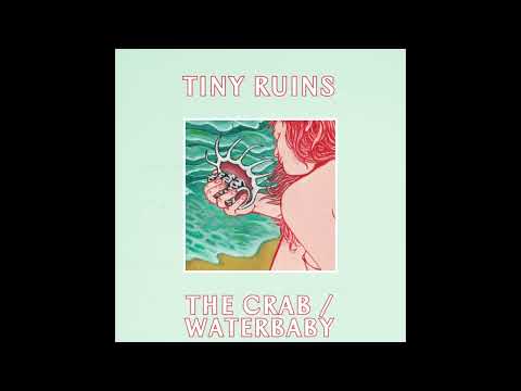 Tiny Ruins - The Crab / Waterbaby - Visualiser