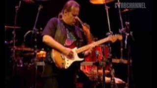 Walter Trout Band (Live at Paradiso): Life in the Jungle