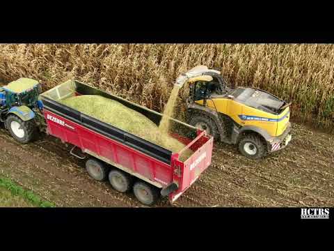Mais hakselen 2020 | New Holland | Dezeure | Record | Caterpillar | Loonwerken Vereecke