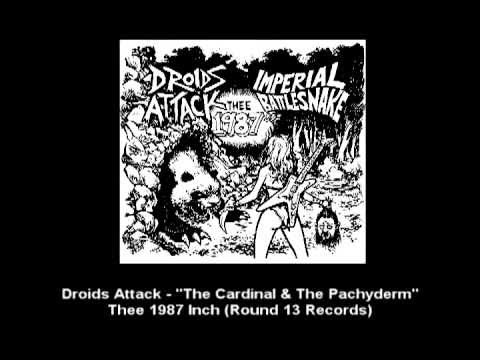 Droids Attack - The Cardinal & The Pachyderm