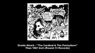 Droids Attack - The Cardinal & The Pachyderm