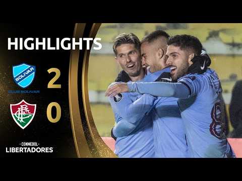 bg-highlight