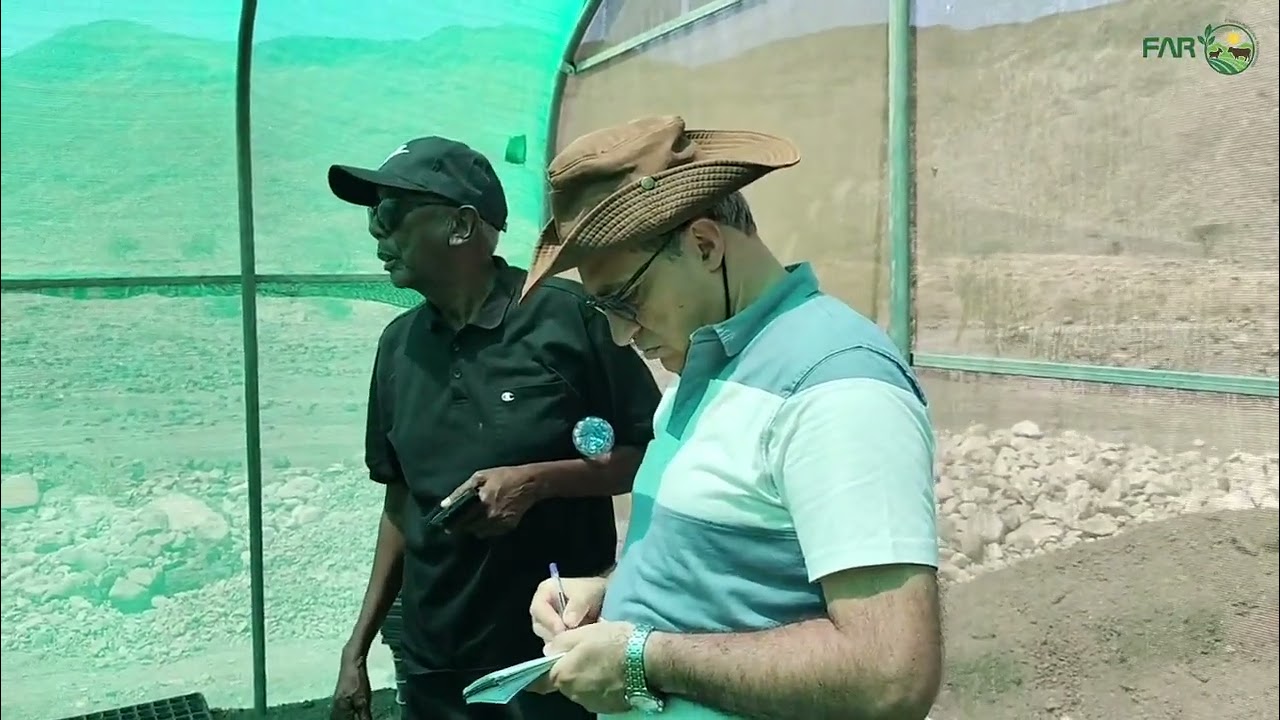Mission de l'équipe SANIS consulting