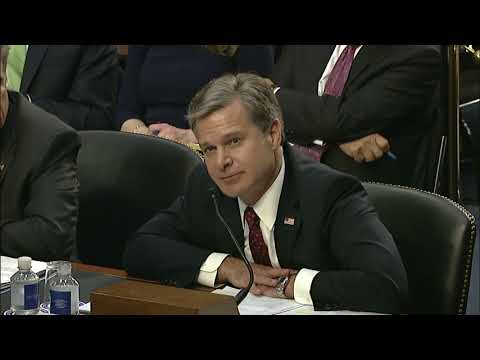 Sen. Cruz Questions FBI Director Wray and Inspector General Horowitz - June 18, 2018