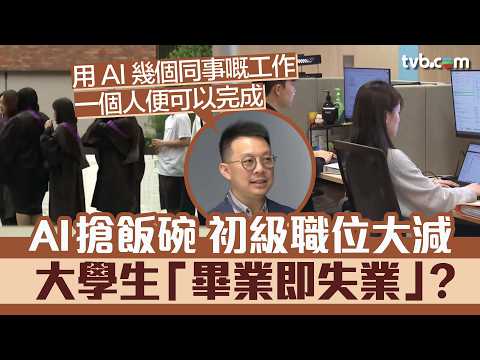 新聞透視｜畢業即失業？AI搶飯碗 初級職位大減 年輕畢業生陷求職困境｜TVB News