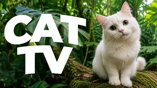 Cat TV 🐦🐠 Relaxing Videos for Cats to Watch | Birds, Fish & Calming Cat Music Sounds