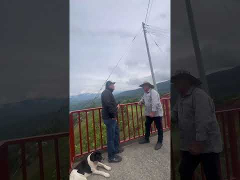 San Bernardo CUNDINAMARCA #tendencia #cultivos #turismo #cundinamarca #campesinos