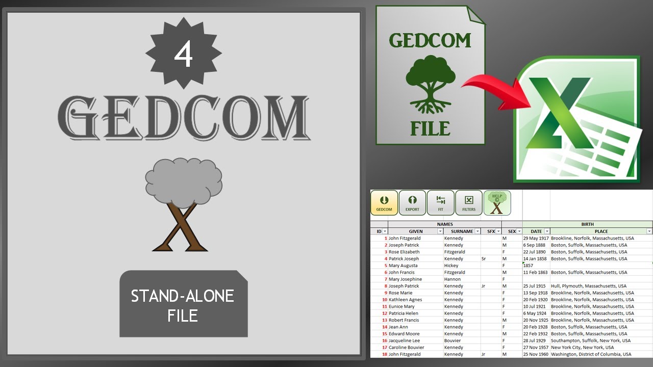 GEDCOM - Move data from a GEDCOM file to Excel