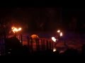 Scar Live AVI