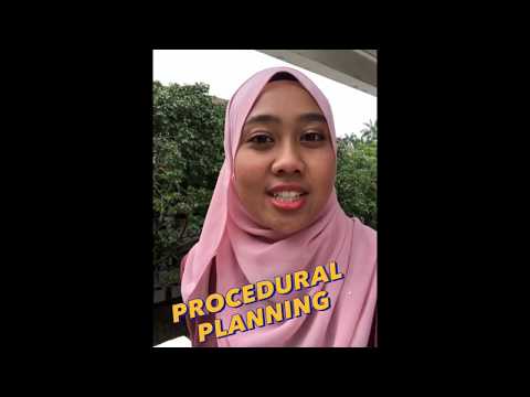 Planning Theory: Faludi's Approach