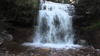 preview picture of video 'Beaver @ Great Falls, Waterdown, Ontario'