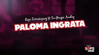 Paloma Ingrata Music Video
