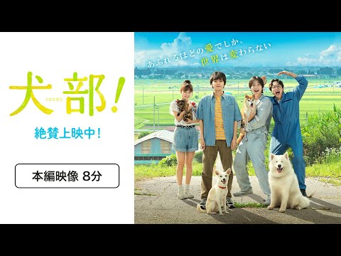 映画『犬部！』本編映像8分公開！【大ヒット公開中！】