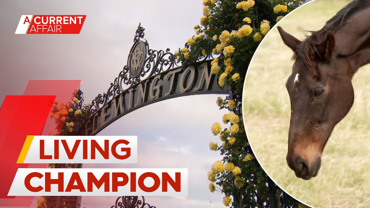The Melbourne Cup winner living out his days in a thoroughbred retirement home | A Current Affair