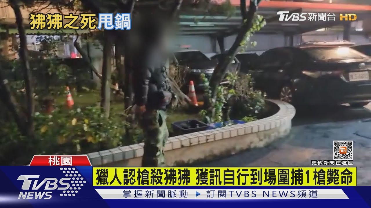 獵人認槍殺狒狒　獲訊自行到場圍捕1槍斃命