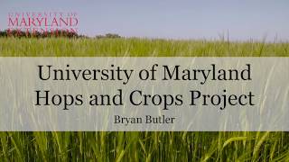 University of Maryland Hops and Crops Project