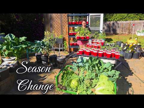 The Garden Is Changing… Spring Planting Begins