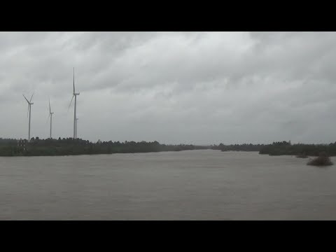 Nivel del Río Bio Bio en Puente Coihue 2026