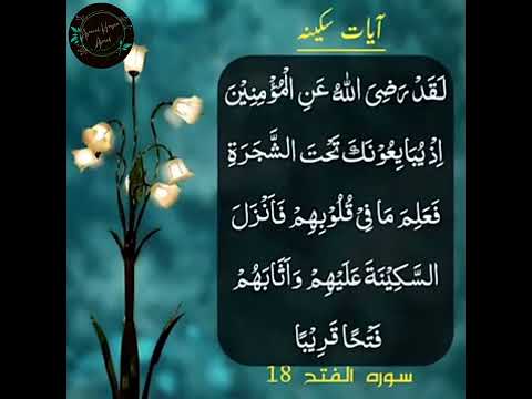 Ayat E Sakina || ayat of tranquility - Sakinah