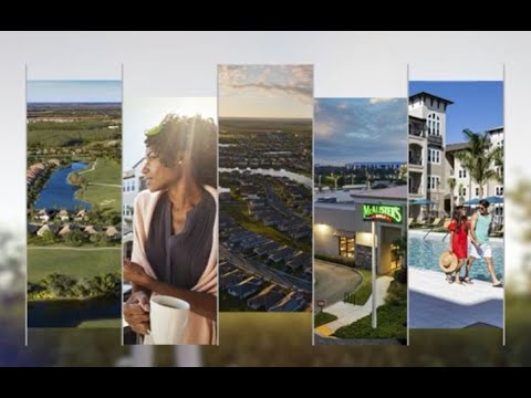 Barron Collier Companies: A Legacy of Vision