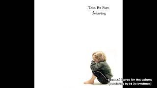 [Spatial Stereo]Tears For Fears - Start of the Breakdown(Steven Wilson 5.1 mix)