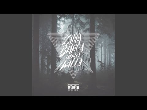 Zanna Bianca Remix