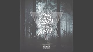 Zanna Bianca (Remix)