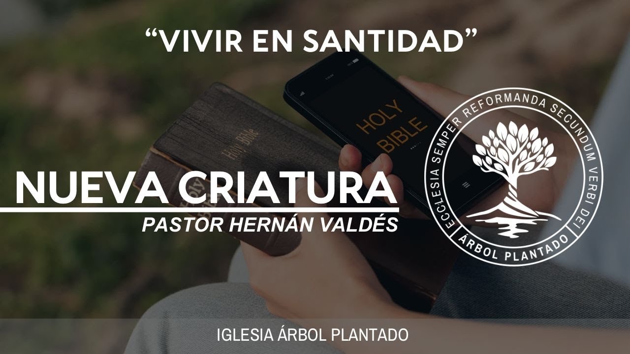 369 - Vivir en santidad - Nueva criatura