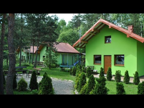 niezapominajka-jura, Niegowa, Poland