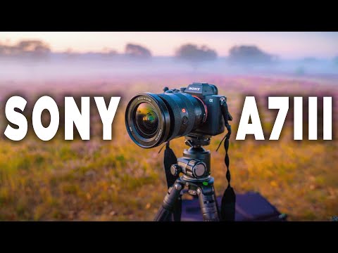 Sollten Sie die Sony A7III im Jahr 2025 kaufen? – Vor dem Kauf ansehen