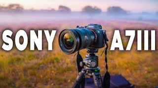 Should You Buy The Sony A7III In 2025? - Watch Before You Buy