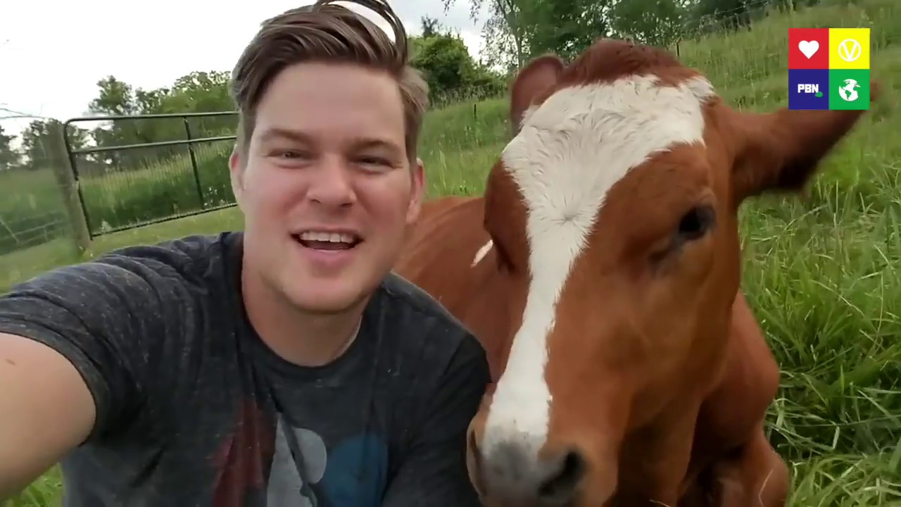6 Things You Didn't Know About Cows [WATCH TILL THE END]