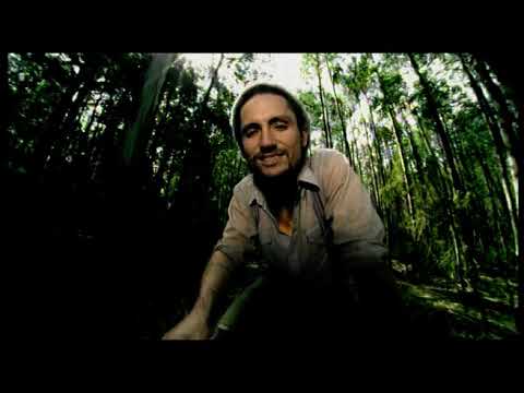 John Butler Trio  - Treat Yo Mama (Offical Music Video)