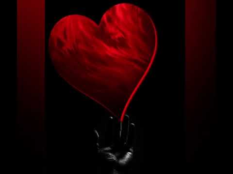 Dans mon coeur (B.S OFFICIEL)