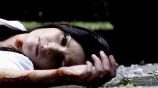 Chromium - The Last Time (Music Video - HD)