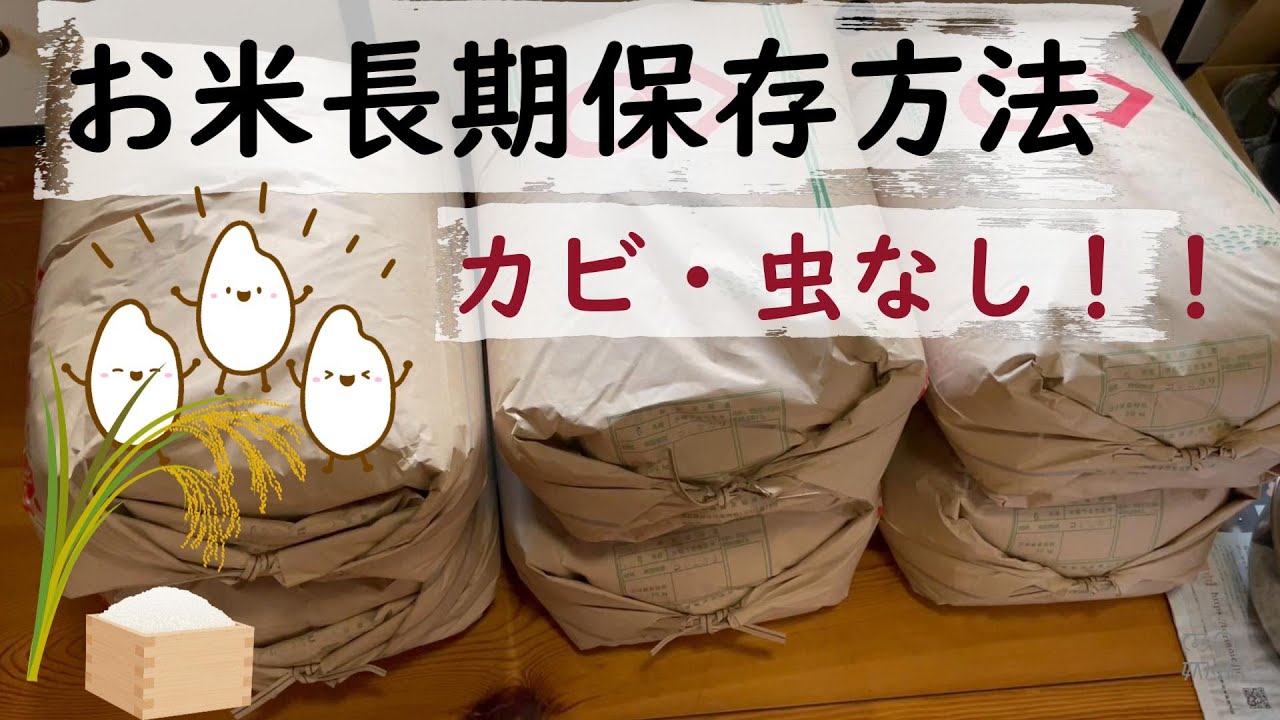 【保存期間５年】３年保存したお米も見せます😄＜簡単で長持ち＞