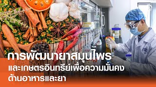 การพัฒนายาสมุนไพรและเกษตรอินทรีย์เพื่อความมั่นคงด้านอาหารและยา⎪คิดเพื่อชาติ⎪29.06.67 การพัฒนายาสมุนไพรและเกษตรอินทรีย์เพื่อความมั่นคงด้านอาหารและยา⎪คิดเพื่อชาติ⎪29.06.67