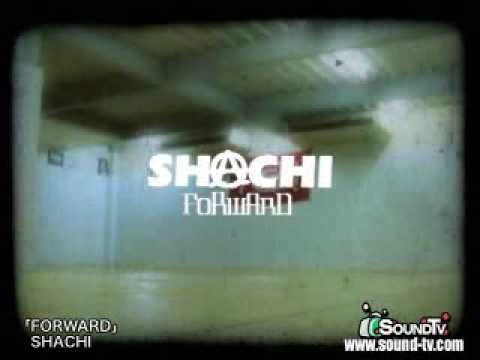 SHACHI-FORWARD