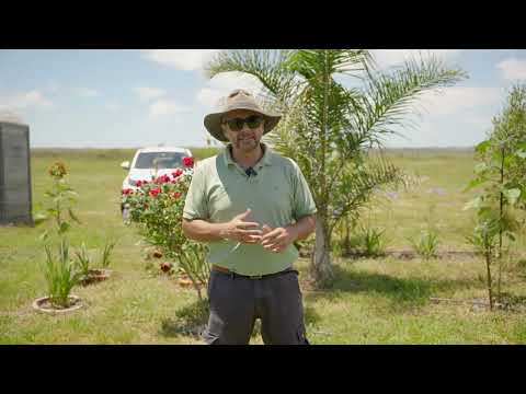 Proyecto FPTA 360 Sostenibilidad del ovino en sistemas ganaderos mixtos -  Sergio Fierro