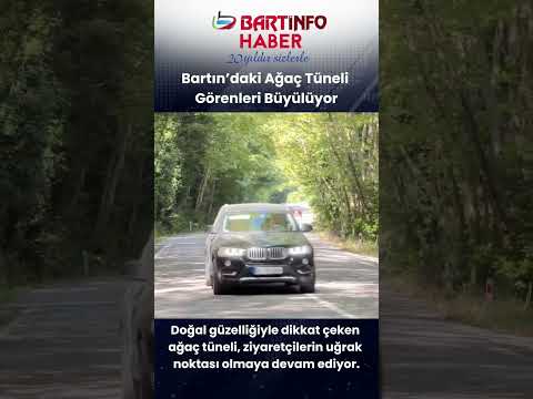 🌳 Bartın'daki Ağaç Tüneli Görenleri Büyülüyor 🌲 #bartın #haber