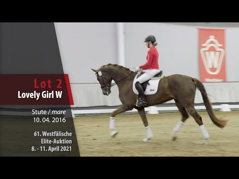 61. Elite-Auktion Trainingsvideo Lot 2 Lovely Girl W Stute v. Livaldon - Florestan I