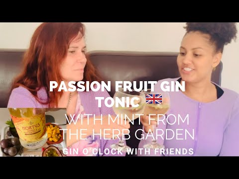 It’s Gin O’clock with Passion & Fruits| #gin by #gabrielalibanio