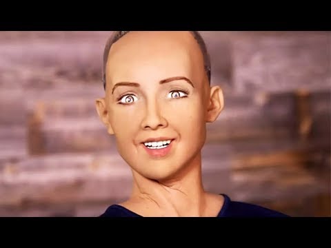 人類模擬器 (Human Simulator)