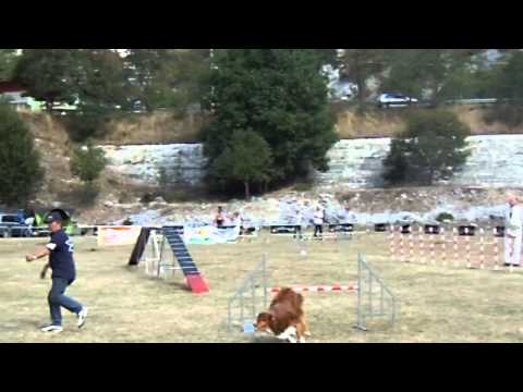 Dago (agility - Villalago 2012)