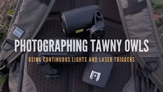 BIRD PHOTOGRAPHY | Photographing Tawny Owls using laser triggers