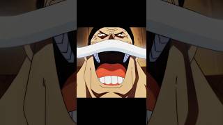 Download lagu '10 Inch 🫪' - Onepiece Whitebeard Edit | Montagem Pegadora  #shorts #anime #onepiece #whitebeard mp3
