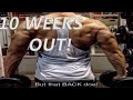 Posing Update & Pull Workout | Journey To Men's Physique | Ep. 21