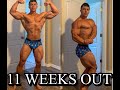 11 weeks out